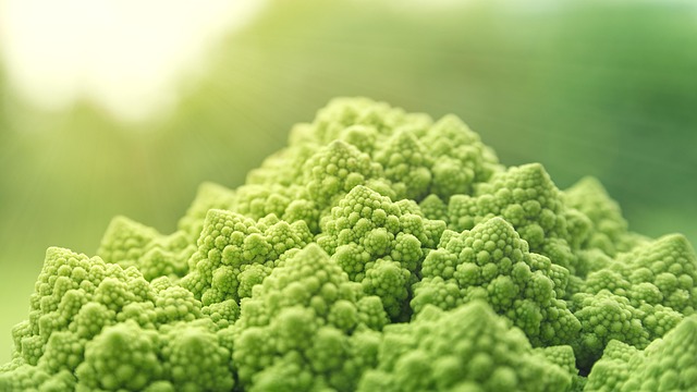 On Nutrition